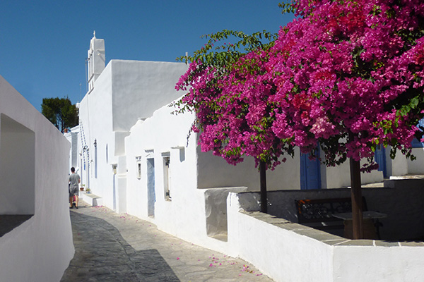 Σχόλια πελατών της Sifnos Experience στη Σίφνο